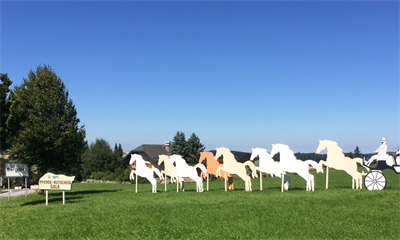 Dorffest mit Pferdekutschengala 2016